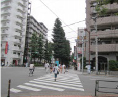 東府中駅の北口を出て、交番を右手に見ながら横断歩道を渡ります。